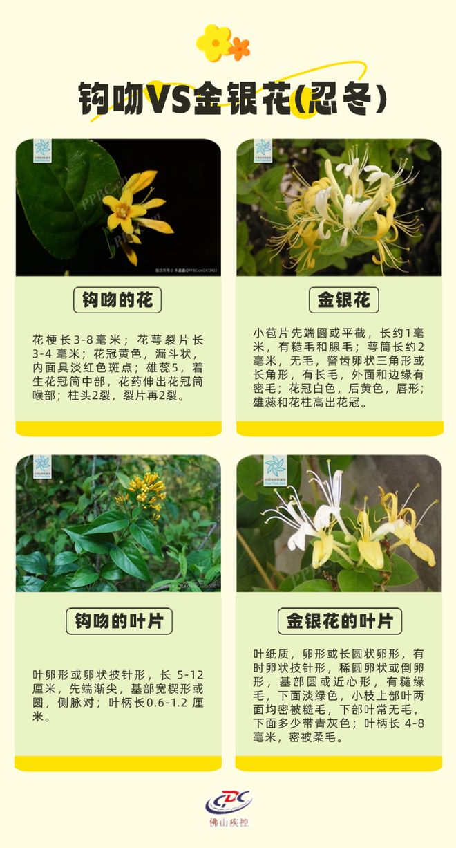 成“夺命汤”！紧急提醒→pg电子入口美味鸡汤竟(图3)