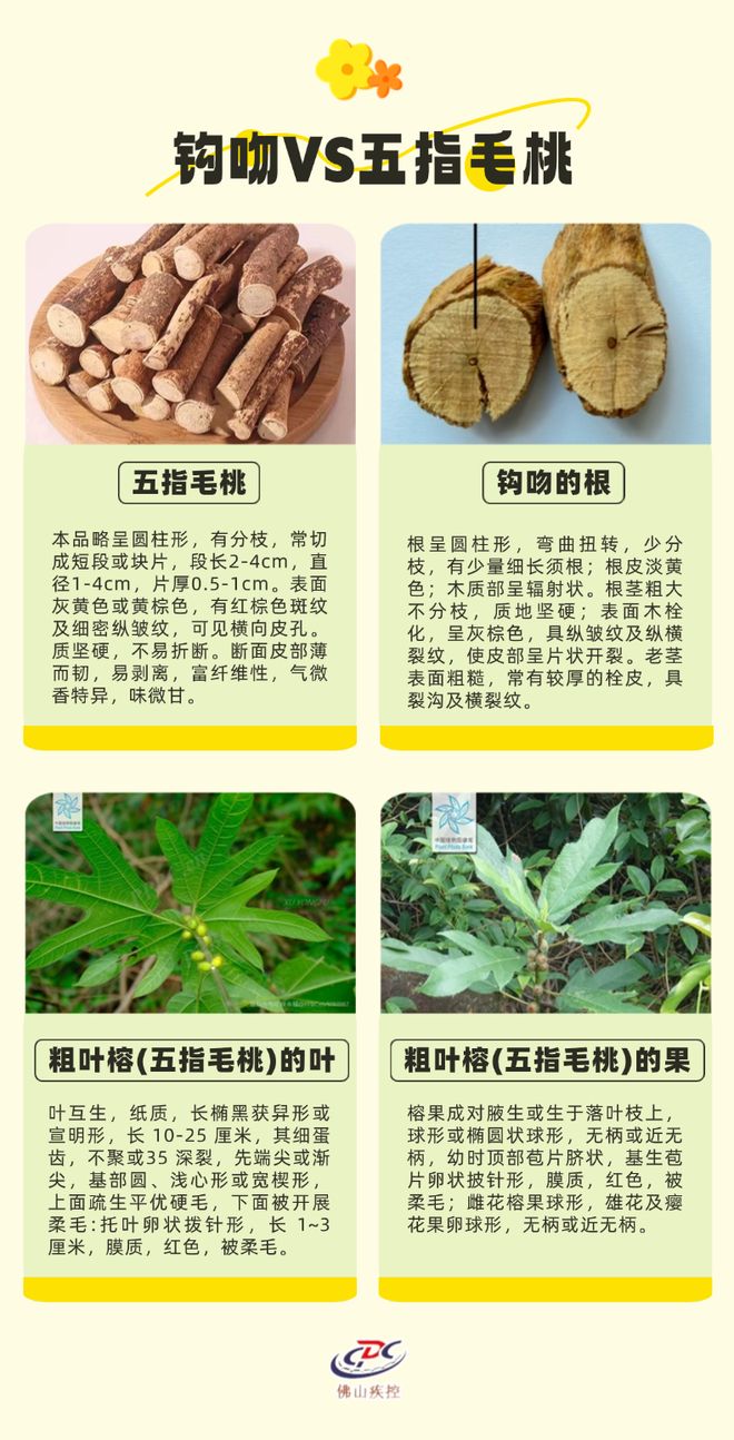 成“夺命汤”！紧急提醒→pg电子入口美味鸡汤竟(图4)